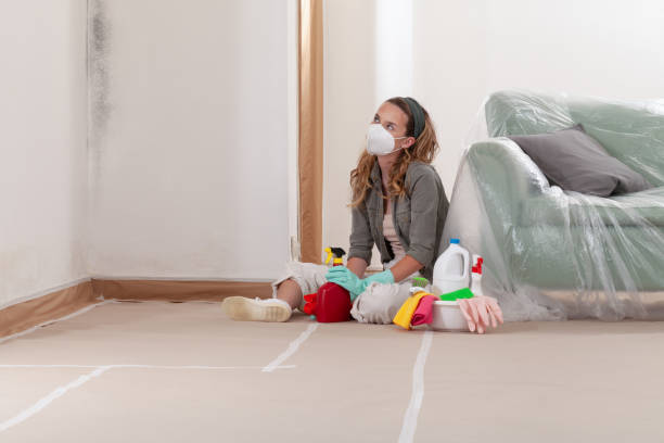 Reliable Mold Testing contractor in Whitehall, MI by WQB Mold Removal